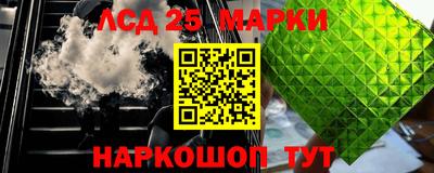 прущие грибы Аргун