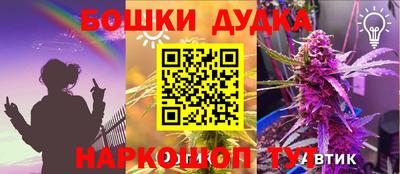 прущие грибы Аргун
