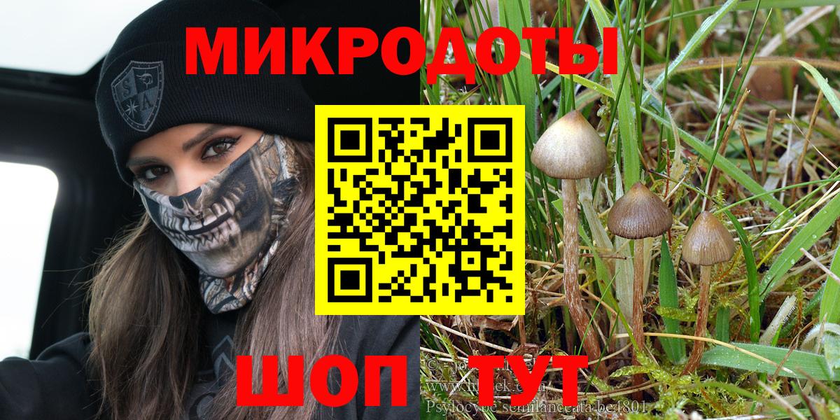 Псилоцибиновые грибы Cubensis  Вход с VPN  магазин  наркотиков  Галлюциногенные грибы Psilocybe  Большой Камень 